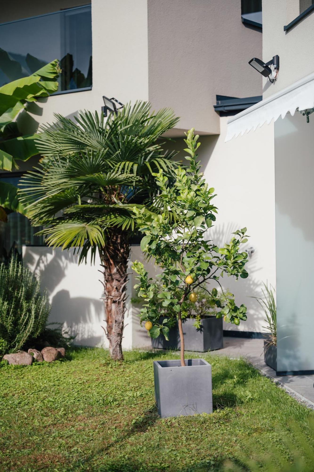 Garden Lodge Gargazzone Kültér fotó