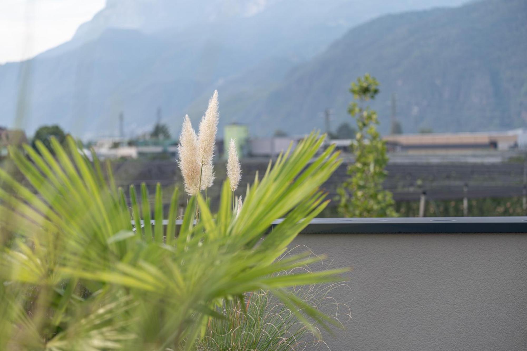 Garden Lodge Gargazzone Kültér fotó